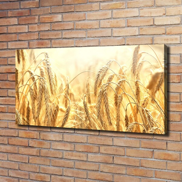 Canvas wall art Cereal