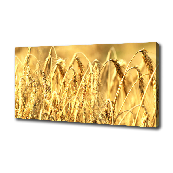 Canvas wall art Cereal