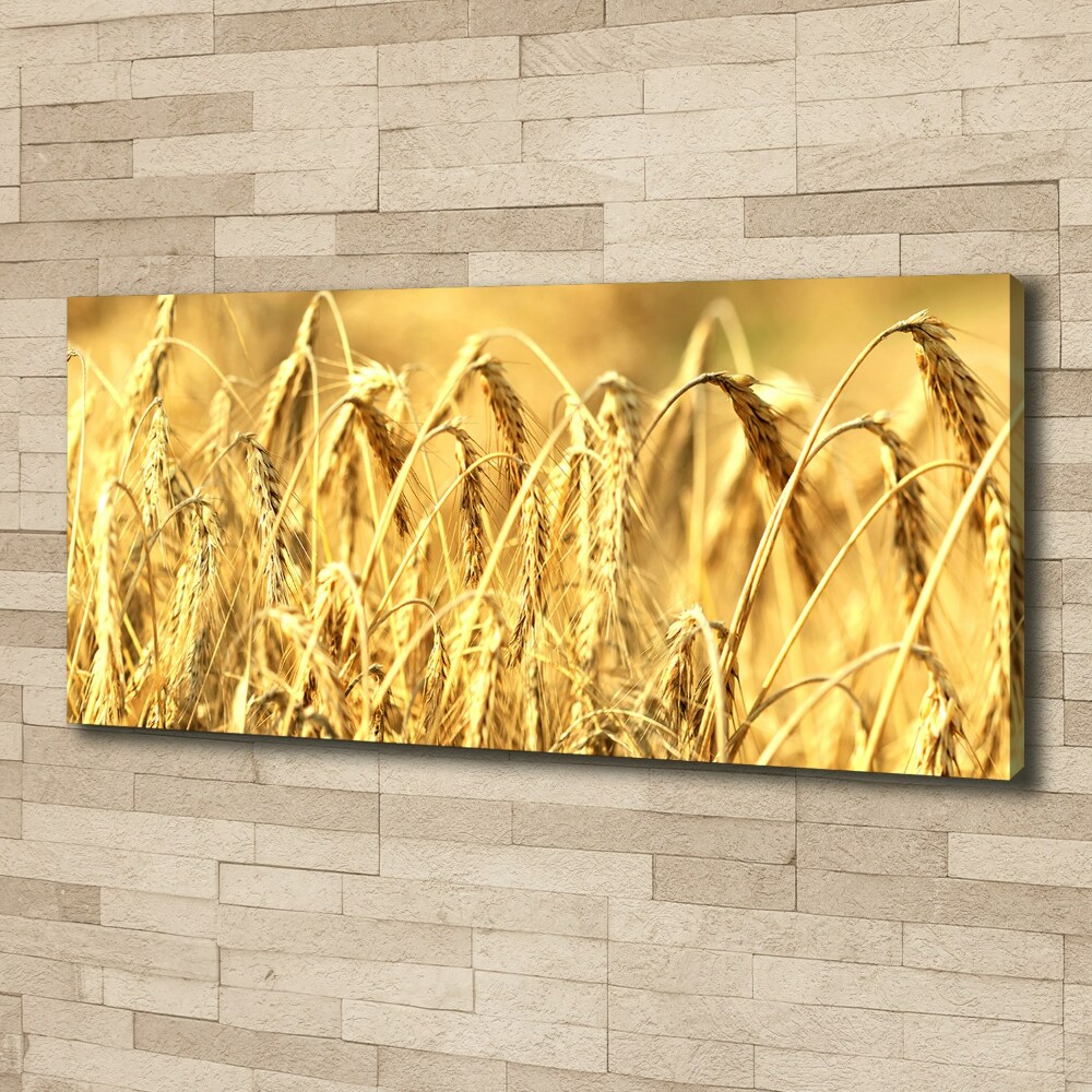 Canvas wall art Cereal