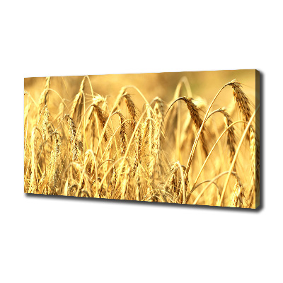 Canvas wall art Cereal