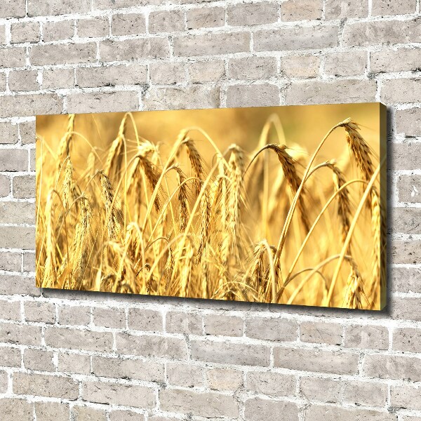 Canvas wall art Cereal