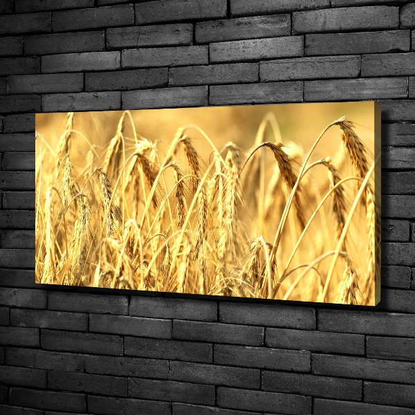 Canvas wall art Cereal