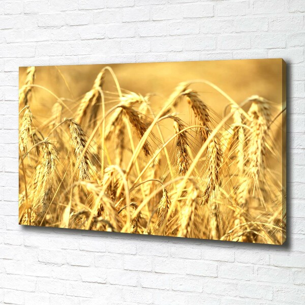 Canvas wall art Cereal