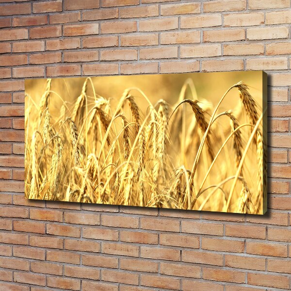 Canvas wall art Cereal