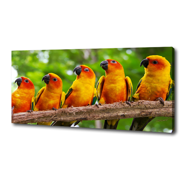 Canvas wall art Parrots on a branch