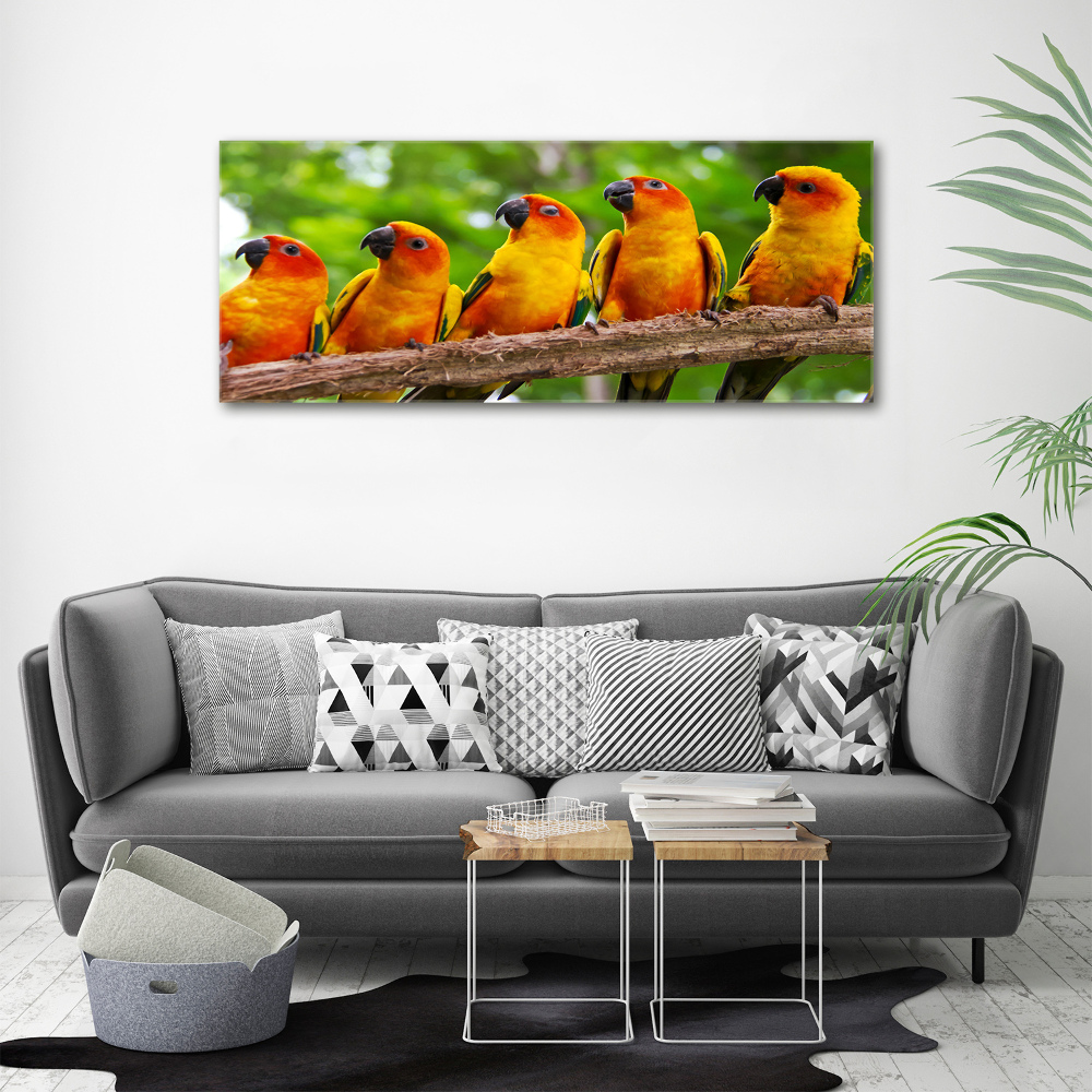 Canvas wall art Parrots on a branch