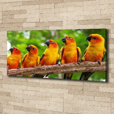 Canvas wall art Parrots on a branch