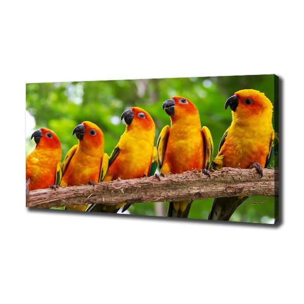 Canvas wall art Parrots on a branch