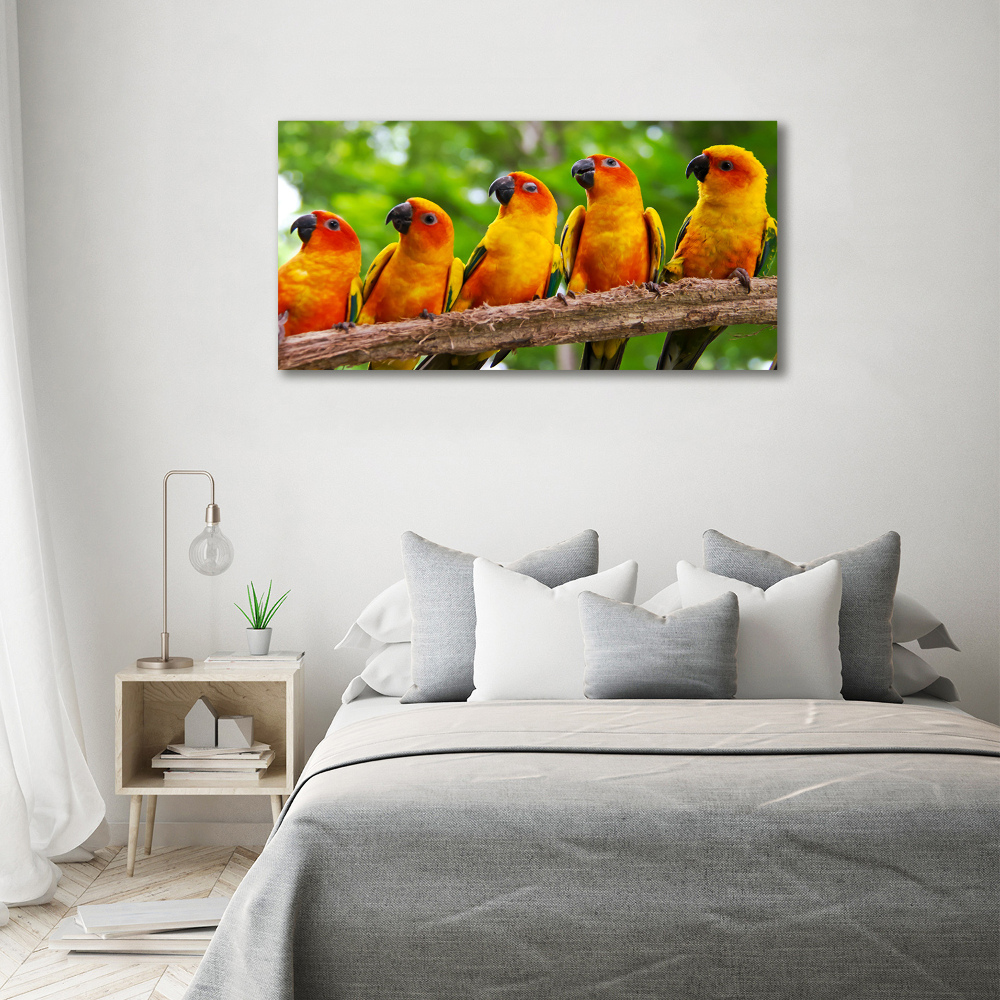 Canvas wall art Parrots on a branch