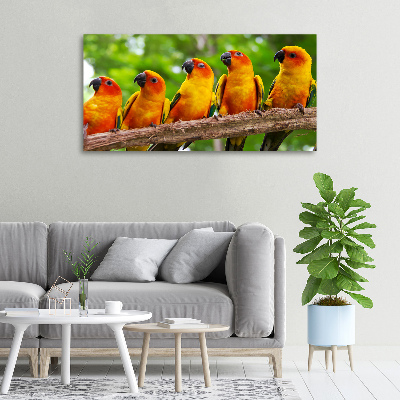 Canvas wall art Parrots on a branch