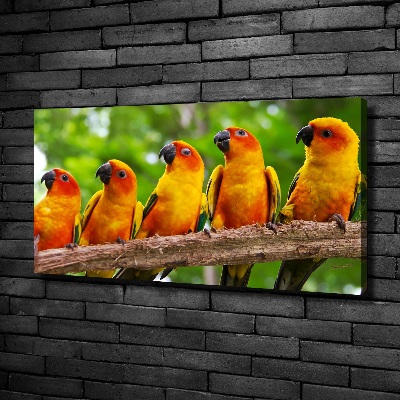 Canvas wall art Parrots on a branch