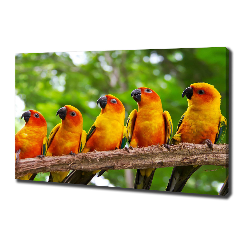 Canvas wall art Parrots on a branch