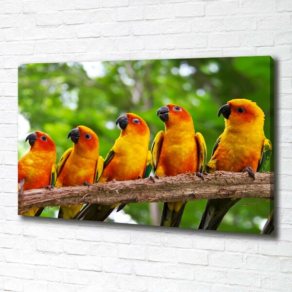 Canvas wall art Parrots on a branch