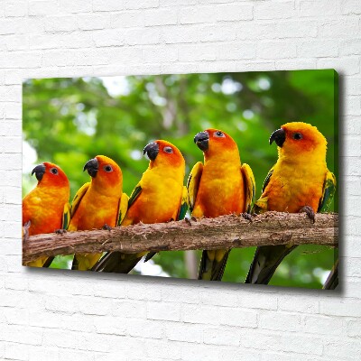 Canvas wall art Parrots on a branch