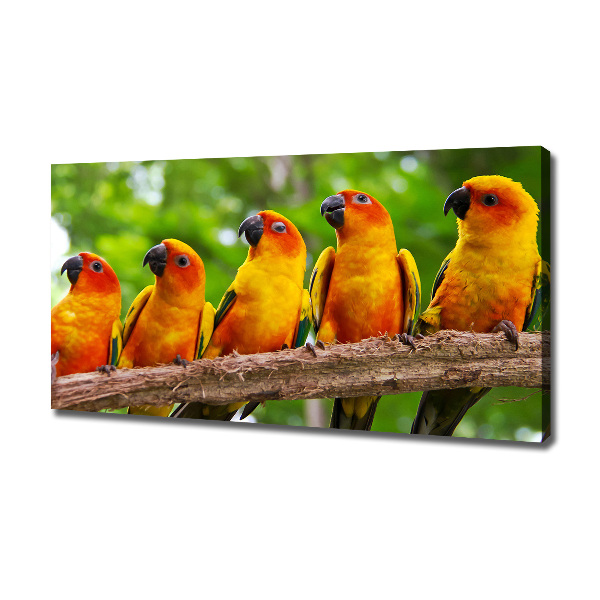 Canvas wall art Parrots on a branch