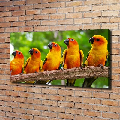 Canvas wall art Parrots on a branch