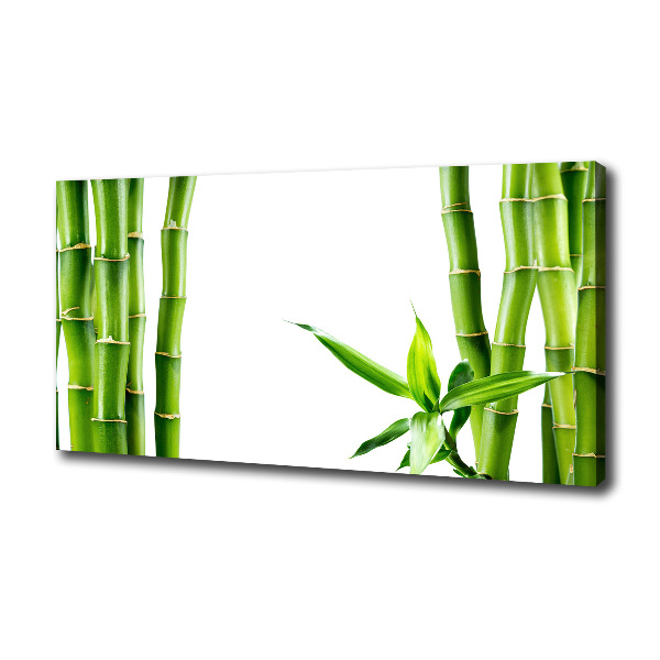 Bamboo