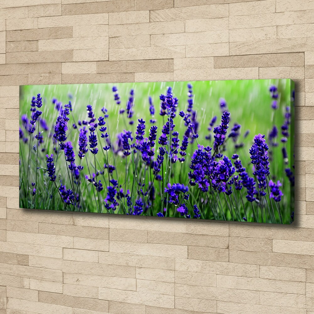 Canvas wall art Lavender