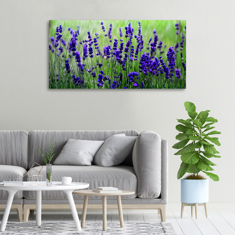 Canvas wall art Lavender