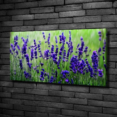 Canvas wall art Lavender