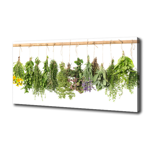 Canvas wall art Herbs on a string