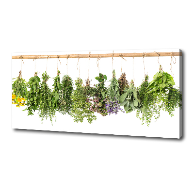 Canvas wall art Herbs on a string