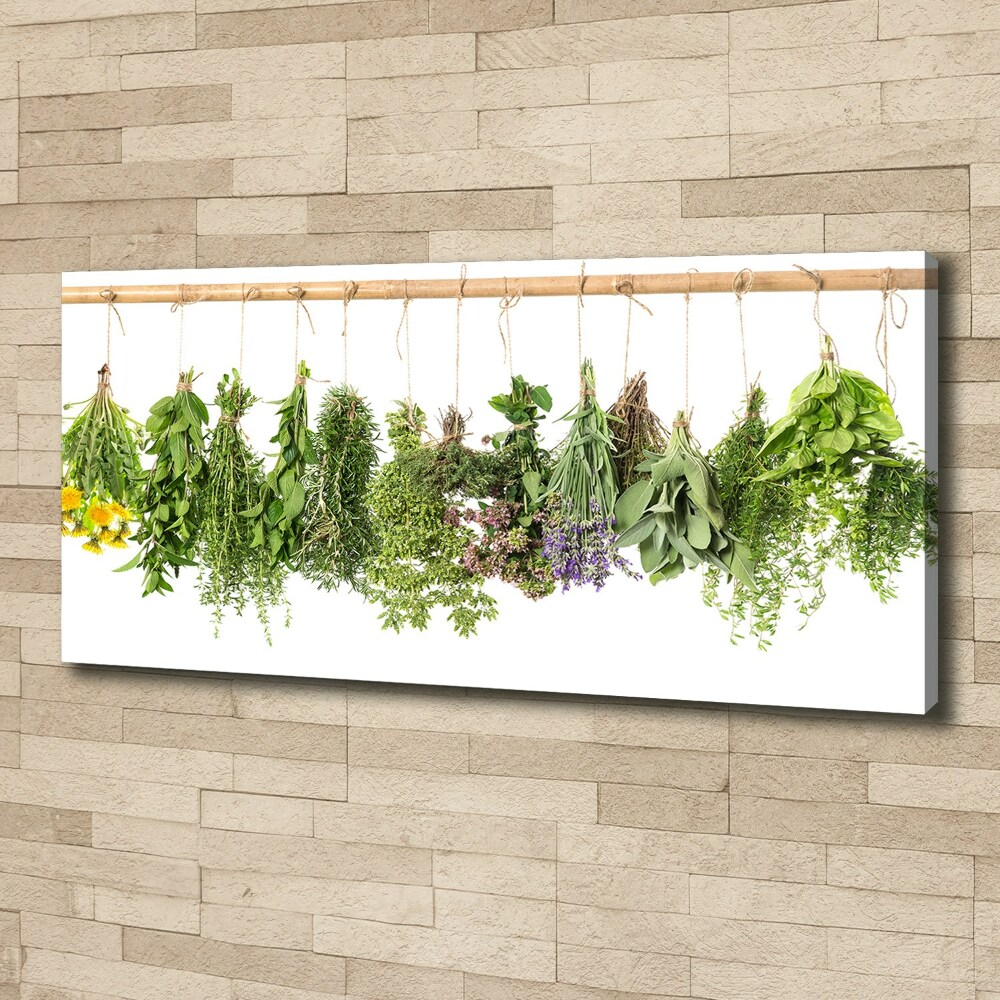 Canvas wall art Herbs on a string