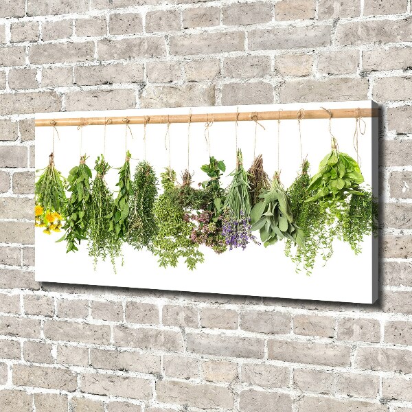 Canvas wall art Herbs on a string