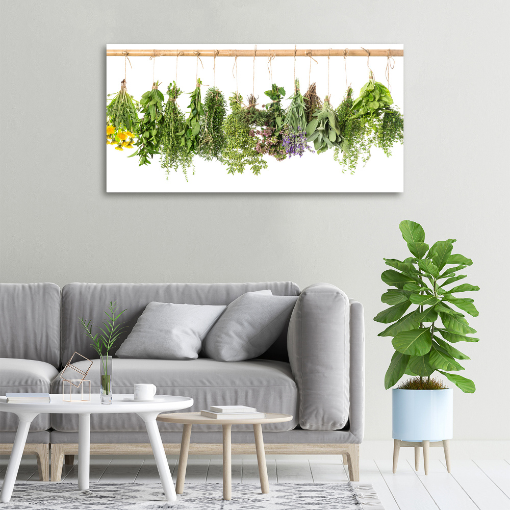 Canvas wall art Herbs on a string