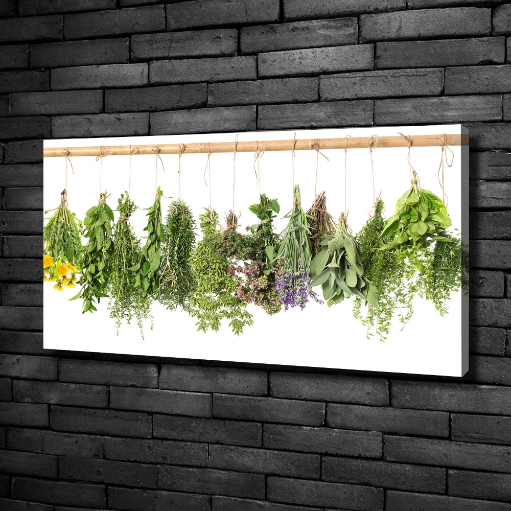 Canvas wall art Herbs on a string