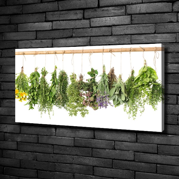 Canvas wall art Herbs on a string