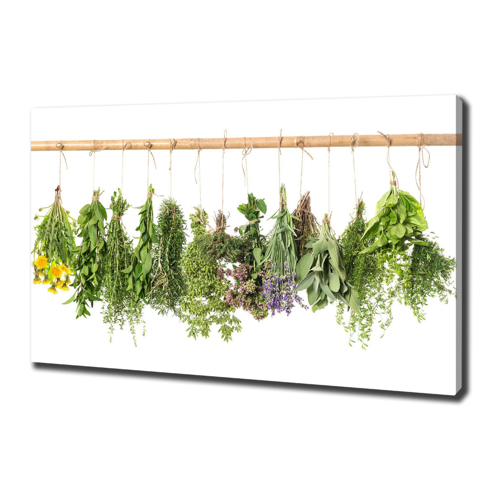 Canvas wall art Herbs on a string