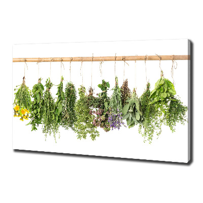 Canvas wall art Herbs on a string