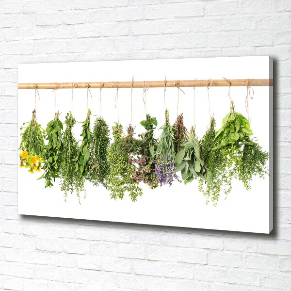 Canvas wall art Herbs on a string