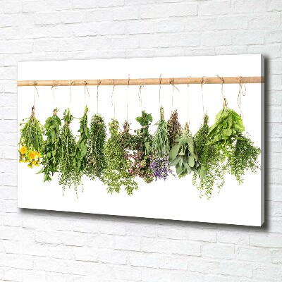 Canvas wall art Herbs on a string