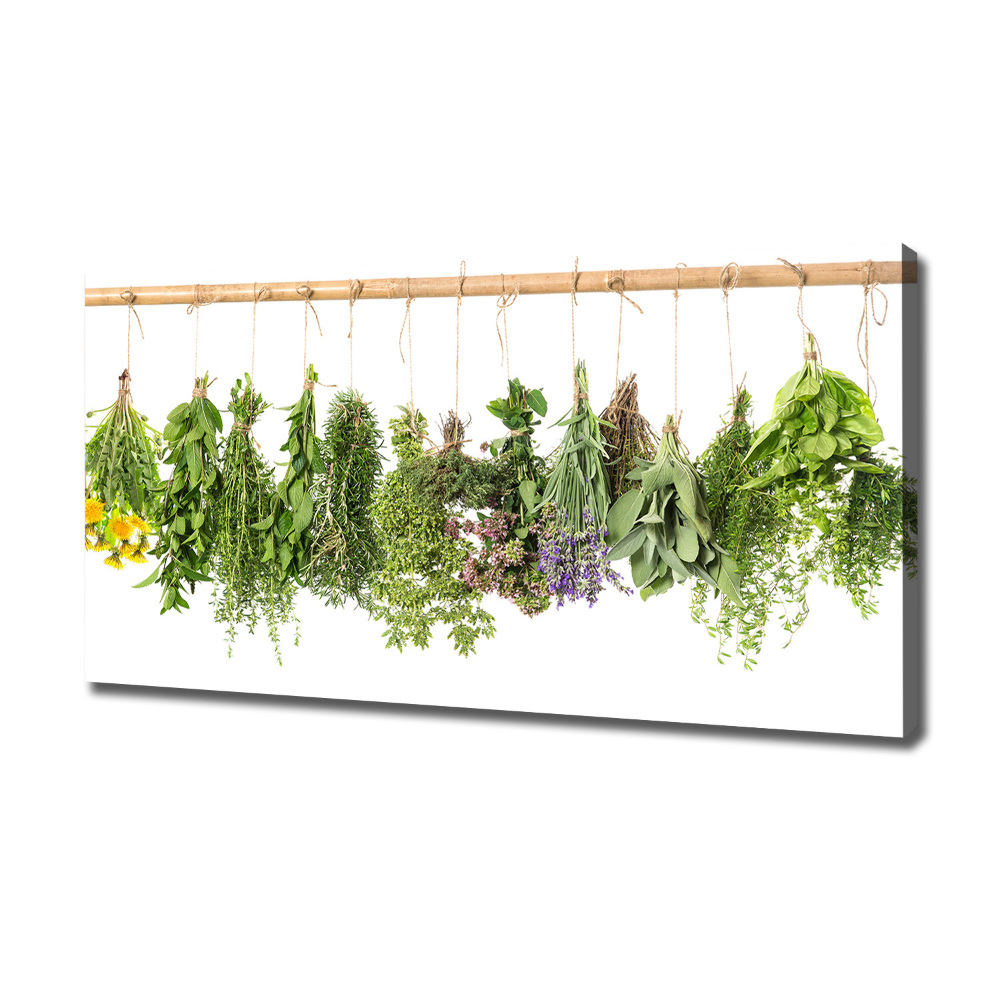 Canvas wall art Herbs on a string