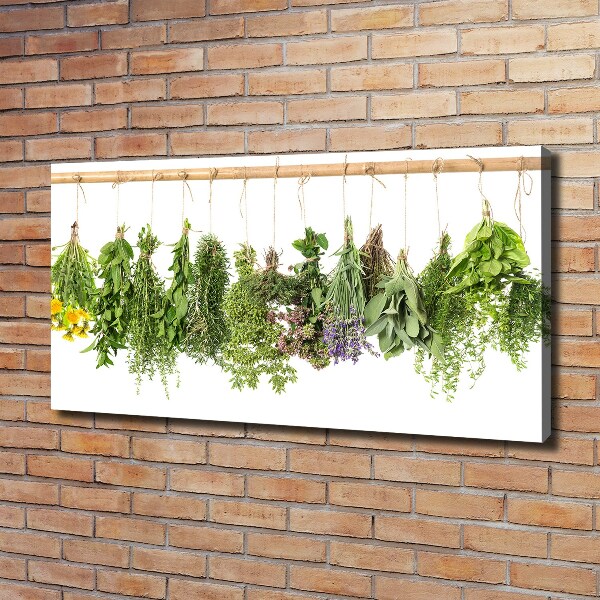 Canvas wall art Herbs on a string