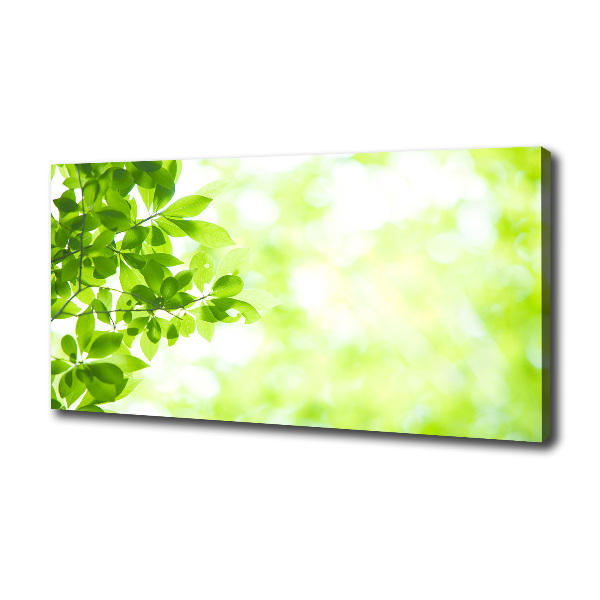 Canvas wall art Leaves