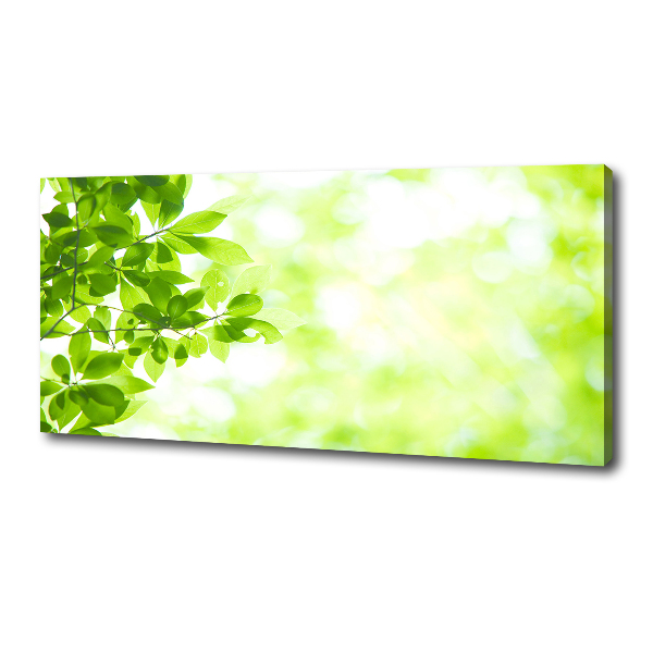 Canvas wall art Leaves