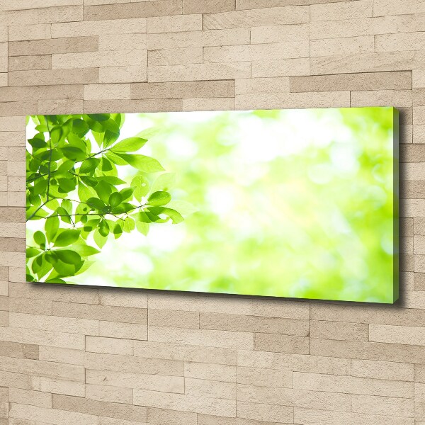 Canvas wall art Leaves