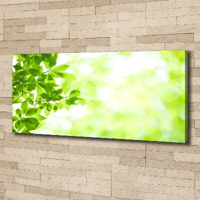 Canvas wall art Leaves