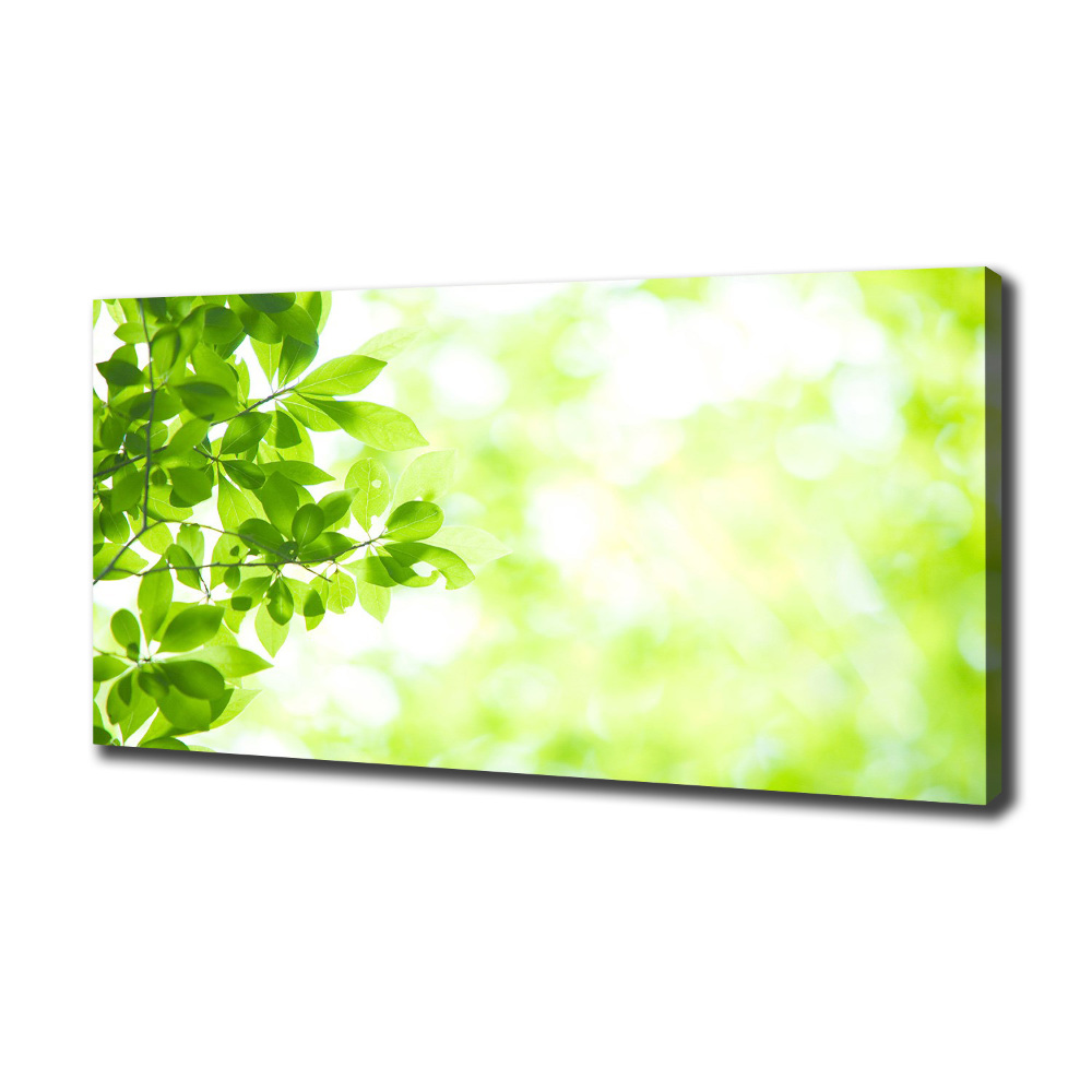 Canvas wall art Leaves