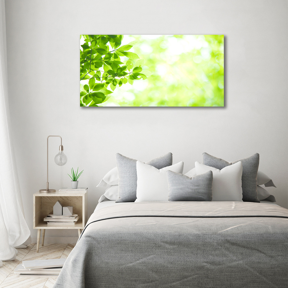 Canvas wall art Leaves