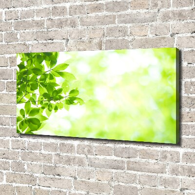 Canvas wall art Leaves