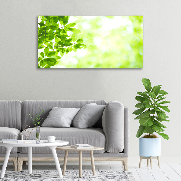 Canvas wall art Leaves