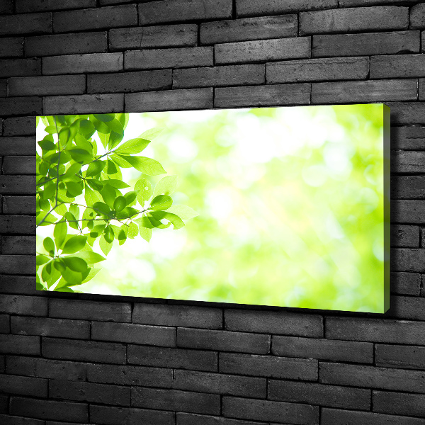 Canvas wall art Leaves