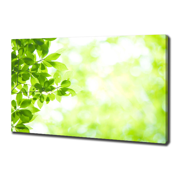 Canvas wall art Leaves