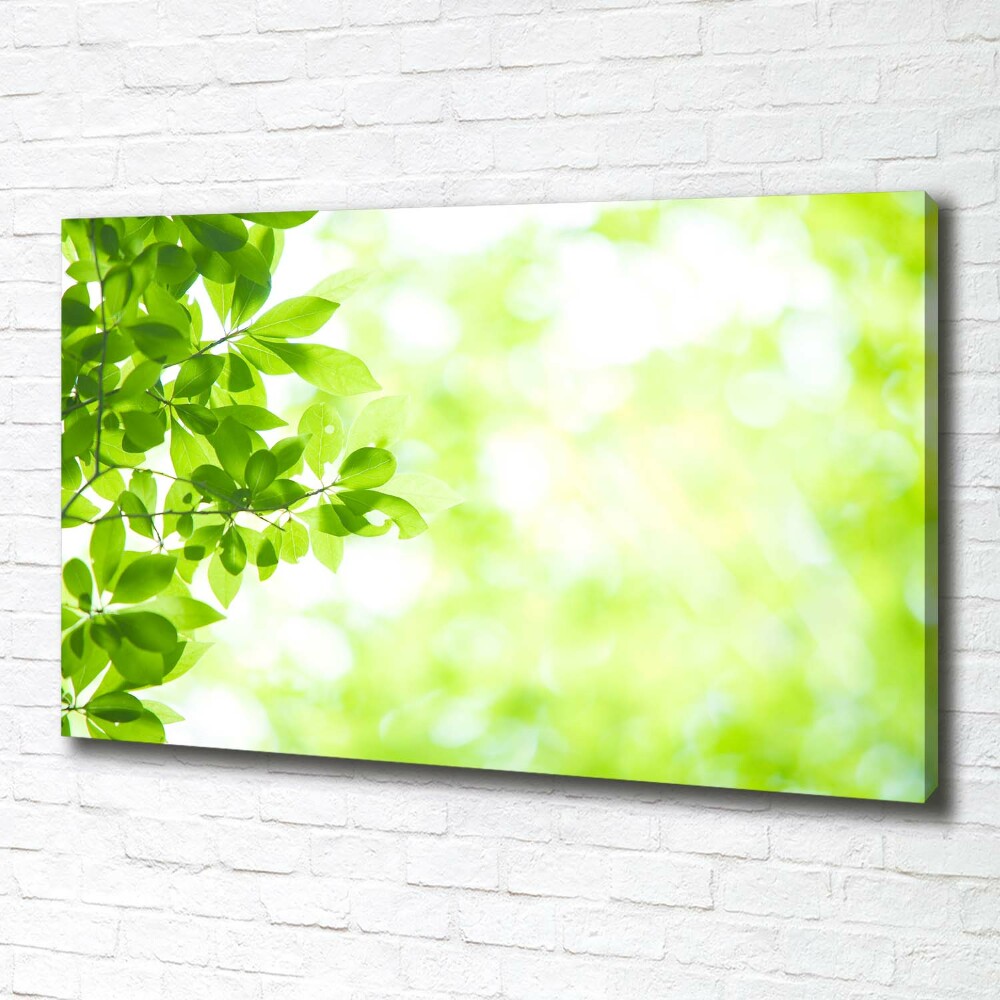 Canvas wall art Leaves