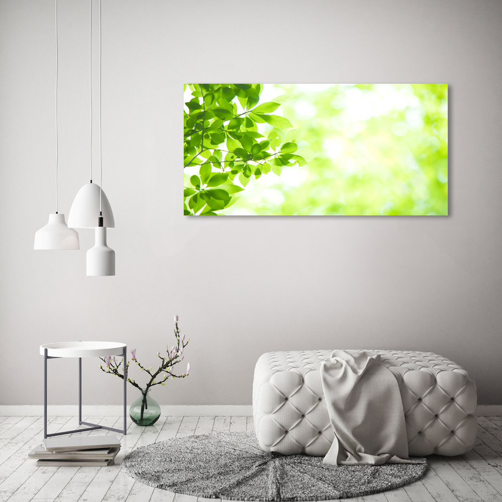 Canvas wall art Leaves