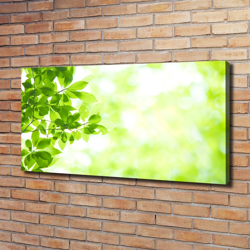 Canvas wall art Leaves